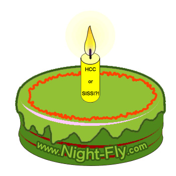 1 Jahr www.Night-Fly.com